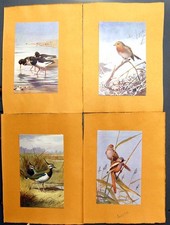 Old print bearded for sale  UK