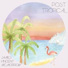 Post tropical mcmorrow gebraucht kaufen  Berlin