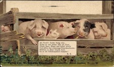 Litho schweine schweinestall gebraucht kaufen Litho schweine schweinestall gebraucht kaufen  Berlin