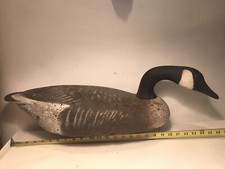 Bean canada goose for sale  Deep River
