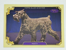 2024 topps allen for sale  Franklin