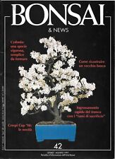 Bonsai news luglio usato  Torino