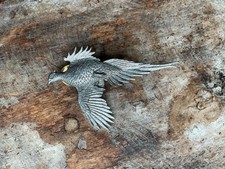 Pewter pheasant pin for sale  BLACKWOOD