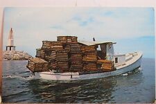 lobster pot for sale  Wilmington