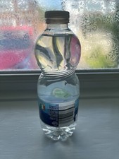 Holy water bottle for sale  MANCHESTER