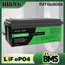 12v 300ah lithium gebraucht kaufen  Euskirchen