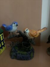 Talking birds for sale  BRISTOL