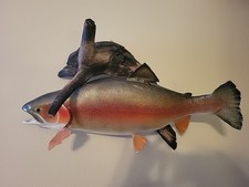 Rainbow trout inches for sale  Fort Smith