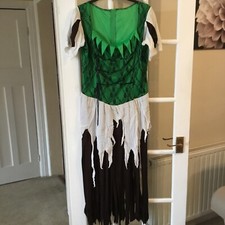 Robin hood cinderella for sale  ROMFORD