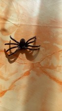Spinne halloween 5 gebraucht kaufen Spinne halloween 5 gebraucht kaufen  Neckarsulm
