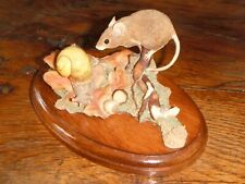 Escargot souris rat d'occasion  Bousies