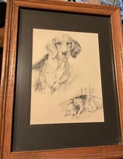 Framed drawing beagle for sale  Vernon Hill