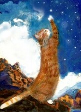 orange tabby cat art for sale orange tabby cat art for sale Bethesda