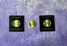 Gold maple leaf gebraucht kaufen  Hof