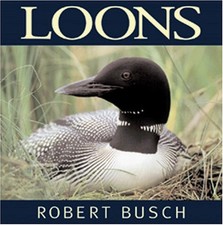 Loons for sale  North Smithfield