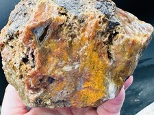 Rainbow bright mexican for sale  Roseburg