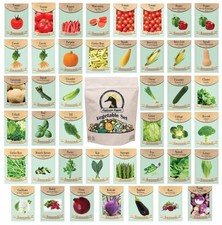 assorted seeds for sale assorted seeds for sale Brentwood