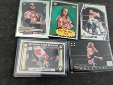 Wwe bret hart gebraucht kaufen  Marl