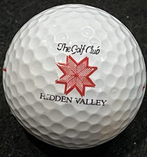Golf club hidden for sale  Irwin