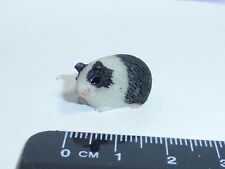 Scale guinea pig for sale  Shipping to Ireland