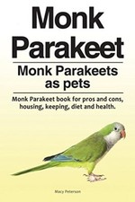 Monk parakeet. monk for sale  USA