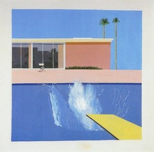 Bigger splash david for sale  BARNSLEY