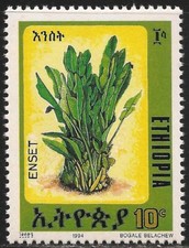 Ethiopia 1385 mnh for sale  Lady Lake