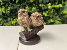 British birds little for sale  COLCHESTER