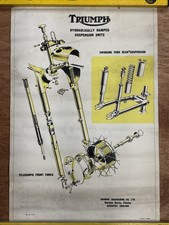 Triumph poster original usato  Spedire a Italy