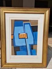 Gualtiero nativi serigrafia usato  Vaiano Cremasco