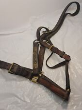 Used horse brown for sale  CRAWLEY