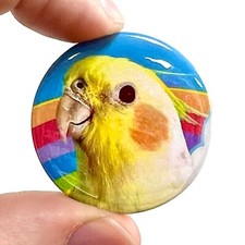 Eggbert cockatiels rainbows for sale  HOVE