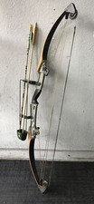 Bear archery grayling for sale  Philadelphia