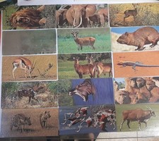 Cartes postales nestle d'occasion  Garons