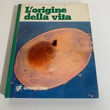 Origine della vita usato  Morro d'Oro