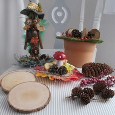 Herbstdeko waldwichtel 12 gebraucht kaufen  Gera