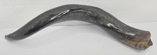 Yemenite shofar kudu for sale  Culpeper