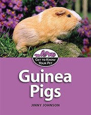 Guinea pigs johnson for sale  UK