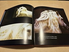 Equus araber andalusier gebraucht kaufen  Duisburg