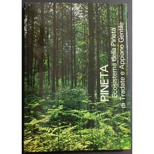 Pineta ecosistema della usato  Alessandria