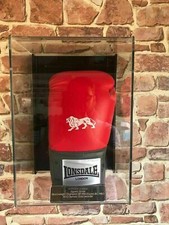 Boxing glove display for sale  BILLERICAY