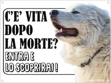 Maremmano cane pastore usato  Roma