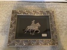 peruvian horse for sale  Saint Louis
