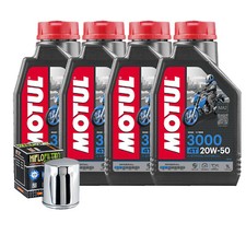 Tagliando olio motul usato  Italia