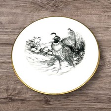 Vintage collectors plate for sale  Santa Cruz