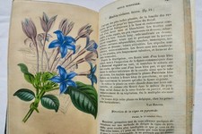 Jardin revue horticole d'occasion  Paris IX
