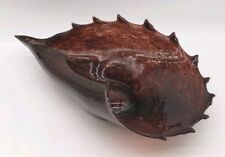 Art glass conch for sale  West Haven