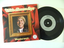 The mike flowers gebraucht kaufen  Deutschland