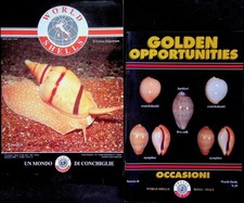 Conchiglie world shells usato  Italia