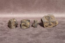 Staurotide staurolite minérau d'occasion  Vern-sur-Seiche